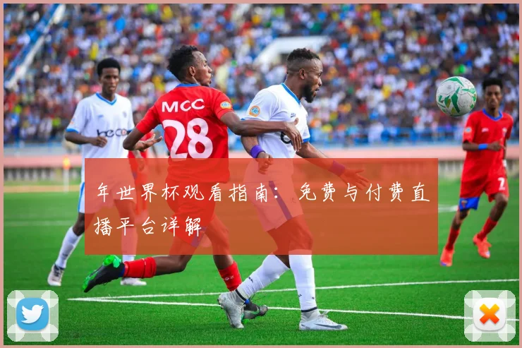 年世界杯观看指南：免费与付费直播平台详解