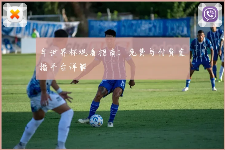 年世界杯观看指南：免费与付费直播平台详解