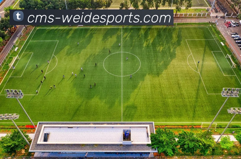 伟德体育发展历程