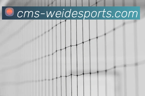 中超联赛第16轮完整录像回顾：关键进球与精彩瞬间